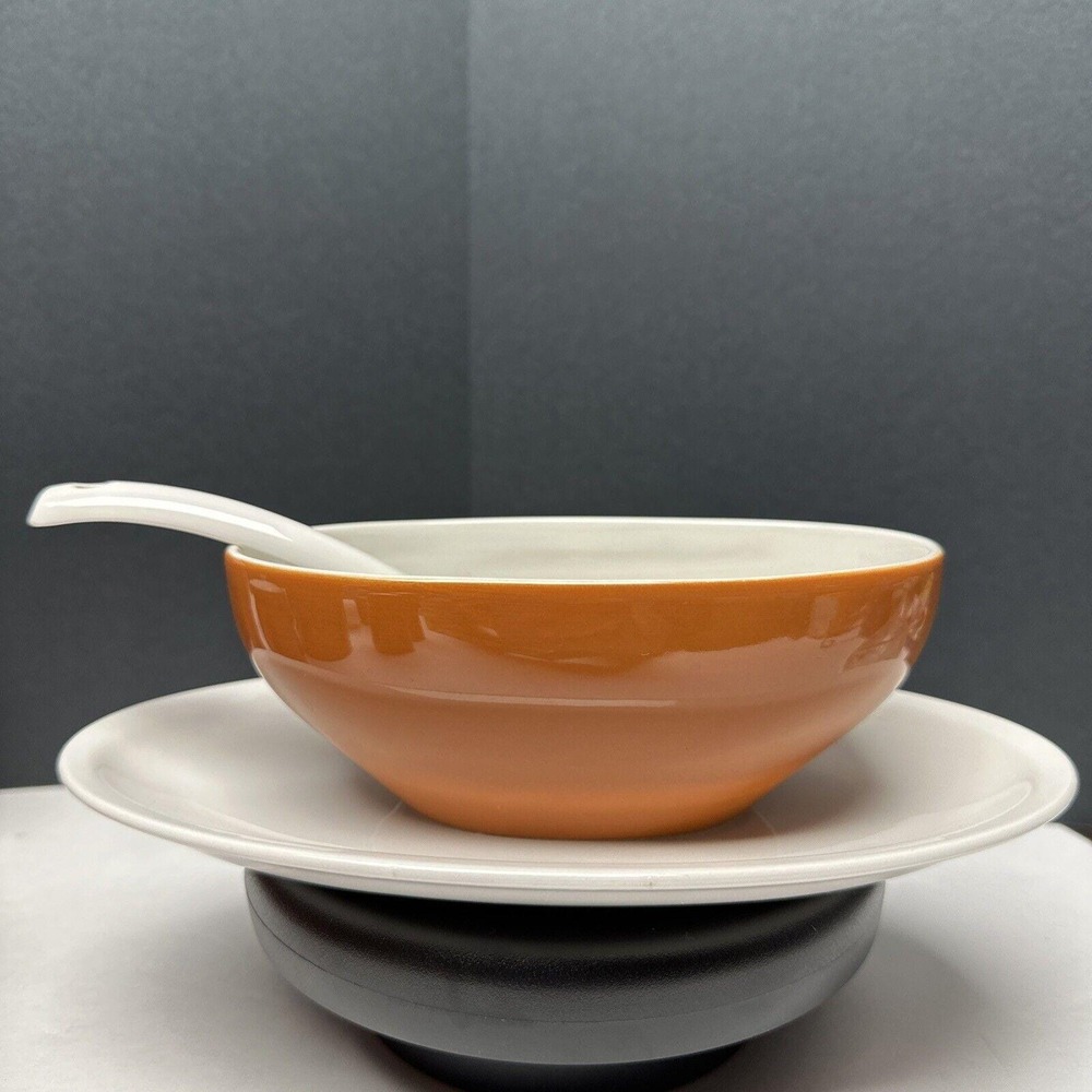 Harmony House Tierra Ironstone Gravy Boat  With Ladle And Underplate 4251 Vtg